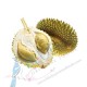 Durian ( Monthong )