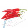 Red Chilli