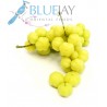 Star Gooseberry Kg