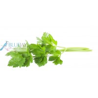 Chinese Celery kg
