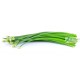 Onion Flower kg