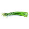 Onion Flower kg