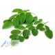Moringa Leaf kg