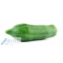 Green Papaya kg