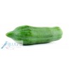 Green Papaya