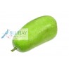 Wax Gourd Kg