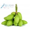 Baby Sour Mango Kg