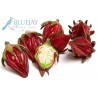 Rosella Flower Kg
