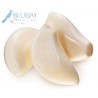 Peeled Garlic Kg