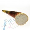 Bamboo Shoot