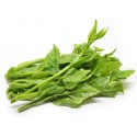Ceylon Spinach Kg