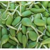 Luk Lieng 10 x 100g Kg