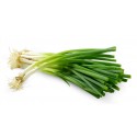 Spring Onion kg