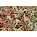 Kon Kae Mushroom kg