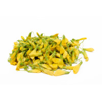 Yellow Sesbania Flower kg