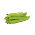 Wing Bean kg