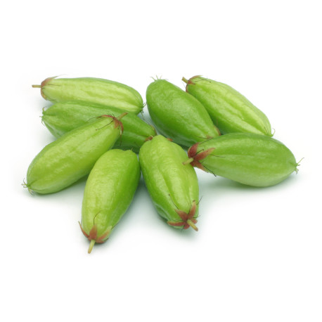 Bilimbi Kg