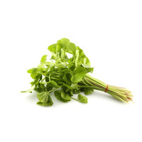 Penny wort Leaf