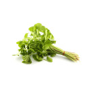 Penny wort Leaf kg