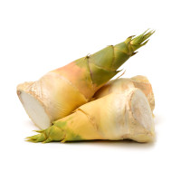 Bamboo Shoot