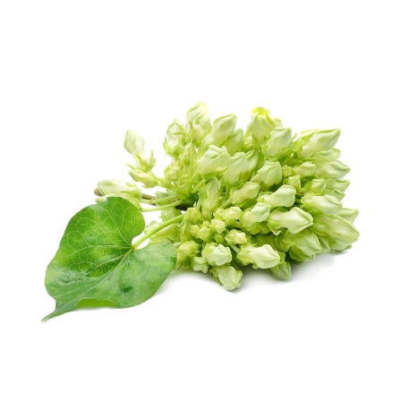 Cowslip Flower