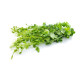 Tam Rung (Ivy Gourd) kg