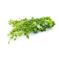 Tam Rung (Ivy Gourd) kg