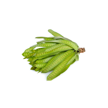 Kratin Pod