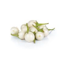 White Egg Plant