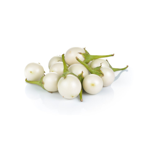 White Egg Plant