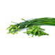 Chive Flower