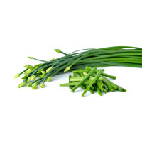 Chive Flower