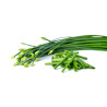 Chive Flower