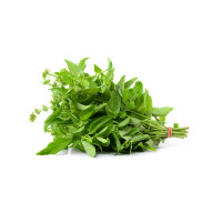 Hairy Basil