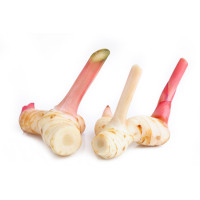 Galangal