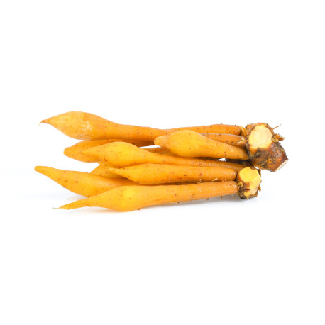 Krachai